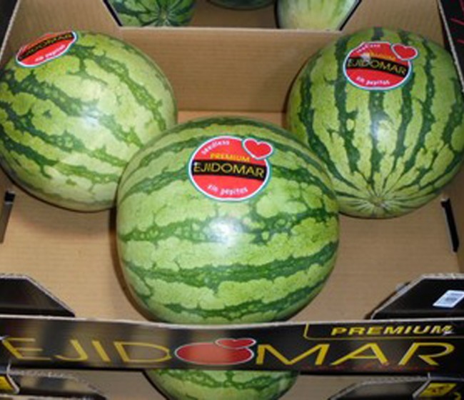 Coexphal denuncia los bajos precios del melón y la sandía
