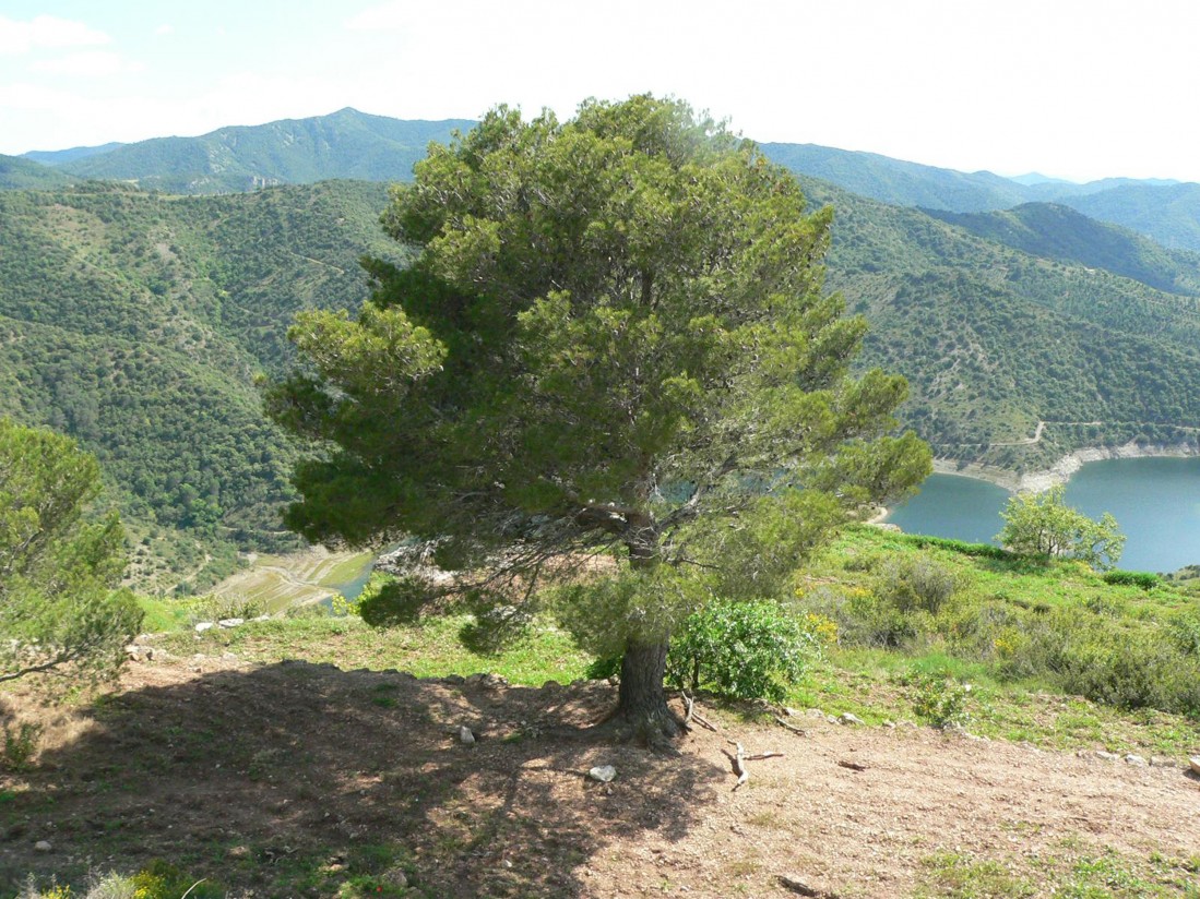 Jornada sobre espacios naturales protegidos y la propiedad privada