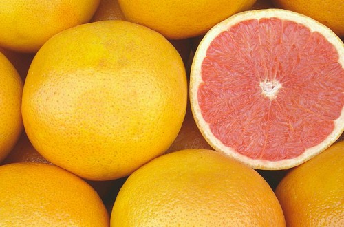 AILIMPO analiza el posible impacto del Brexit para el limón y el pomelo español