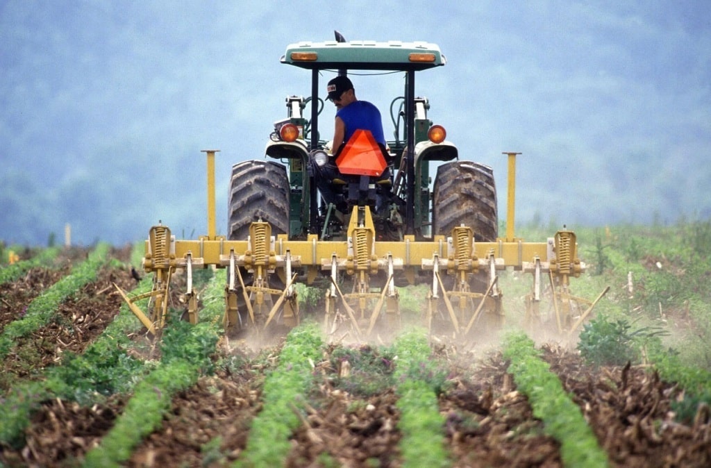 Hacienda dificulta la incorporación a través de una entidad asociativa de jóvenes al sector agrario