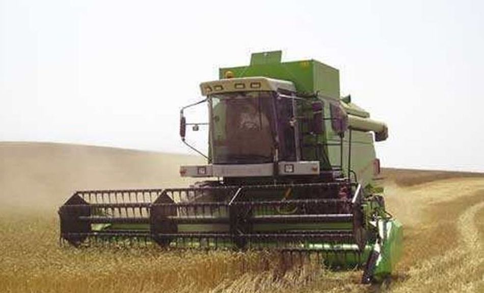 El comercio rebaja la cosecha nacional de cereales de invierno a 13,32 Mt, un 30,9% menos
