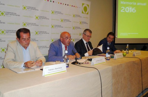 Facturación de 7.784 M€ de las cooperativas agroalimentarias andaluzas en 2016