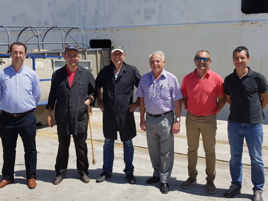 Primera exportación de vacuno de carne a Turquía desde el Puerto de Tarragona