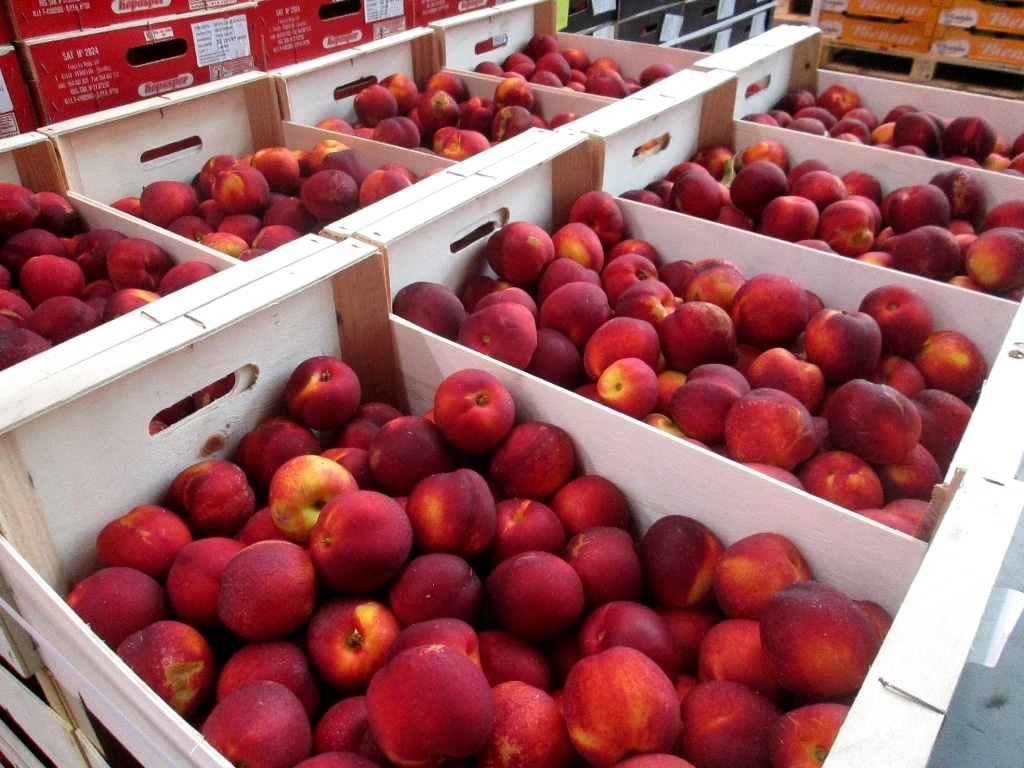 Apenas 70 M€ para apoyar a los productores de frutas europeos afectados por el veto comercial ruso