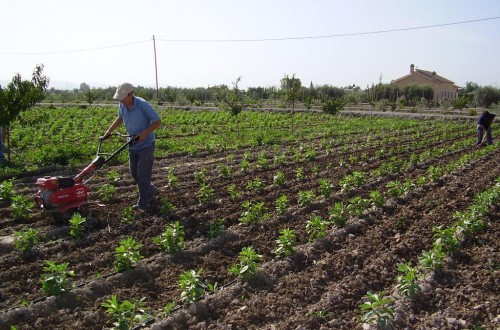 España supera a Francia y se convierte en líder de la UE en superficie dedicada a la agricultura ecológica