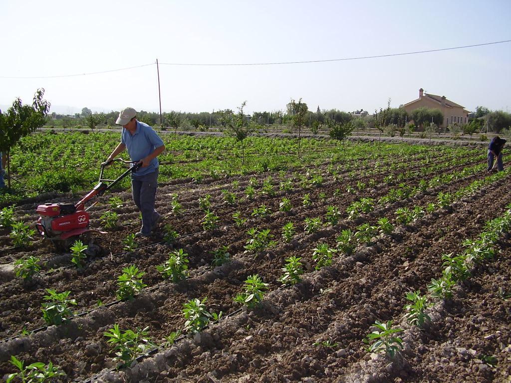 España supera a Francia y se convierte en líder de la UE en superficie dedicada a la agricultura ecológica