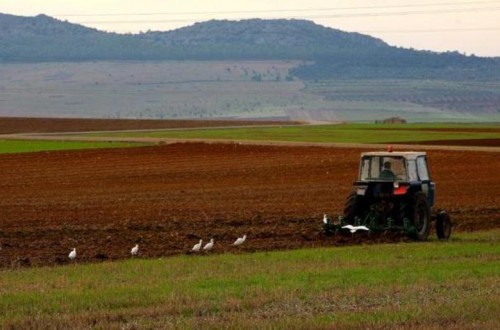 Aprobado el  RD que declara la situación de sequía prolongada en el Duero