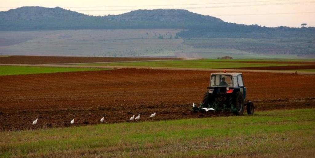 Aprobado el  RD que declara la situación de sequía prolongada en el Duero