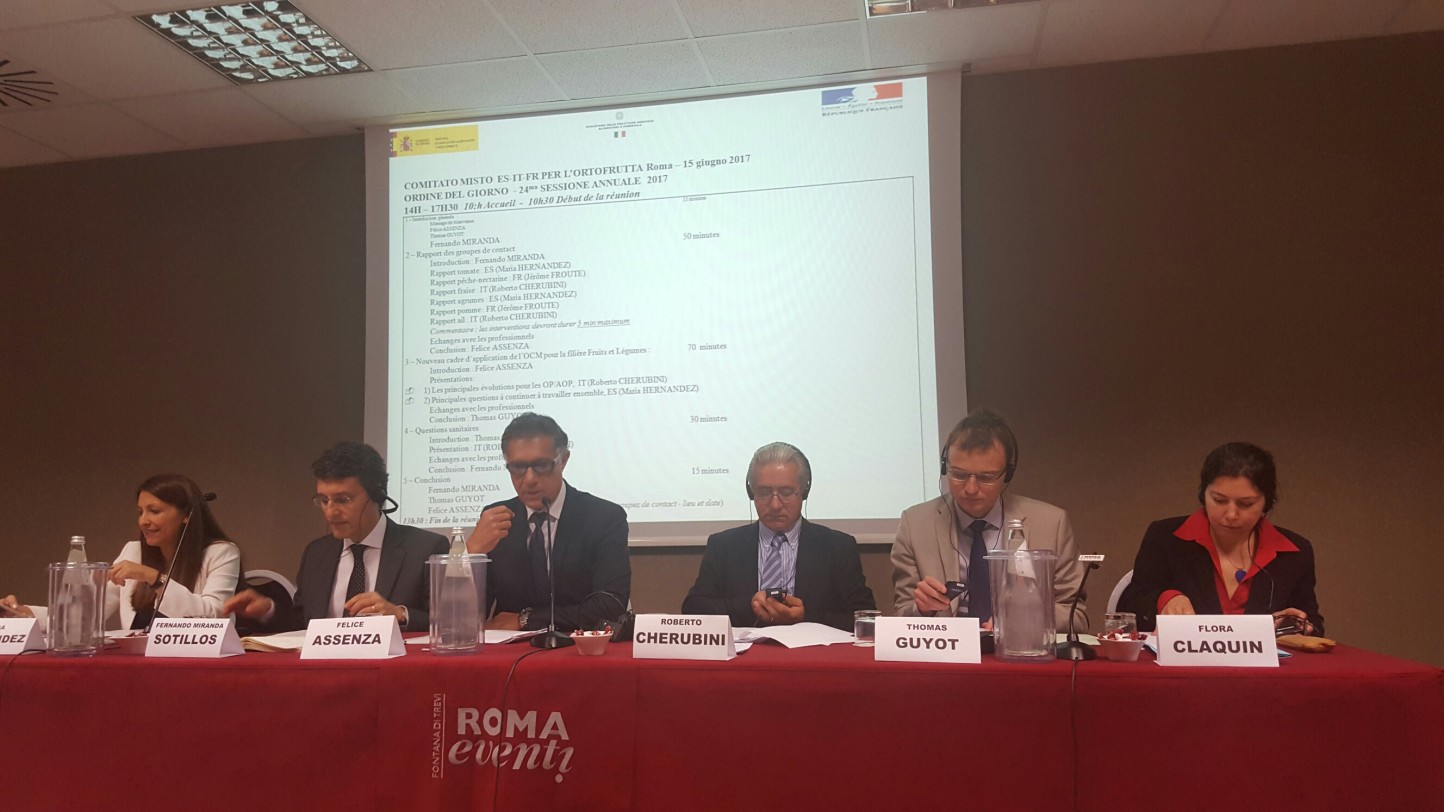Comité Mixto Italo-Franco-Español de Frutas y Hortalizas: la OCM debe ser mantenida