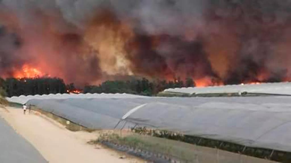 Indignación contra los que acusan a los agricultores de provocar el incendio del entorno de Doñana en Huelva