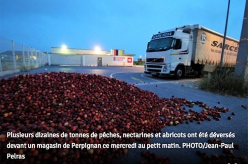 El PP pide a la CE medidas urgentes para poner fin a los ataques franceses contra la fruta española