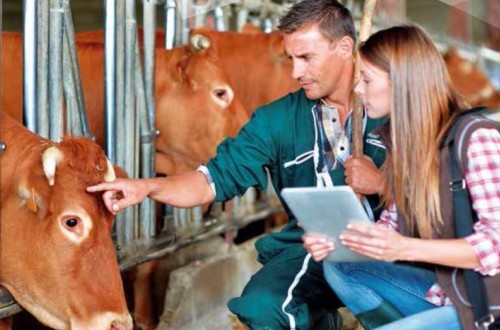 Bruselas adopta el Plan de Acción “Una sola salud” para luchar contra la resistencia a los antimicrobianos