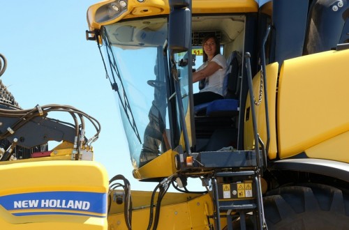 La cosecha de cereal de invierno se queda en 2,6 Mt en Castilla y León