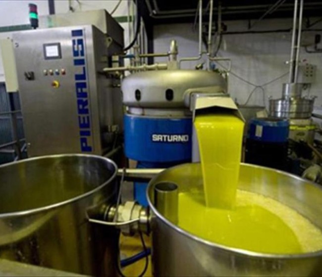Las salidas de aceite de oliva al mercado superaron las 100.000 t en junio