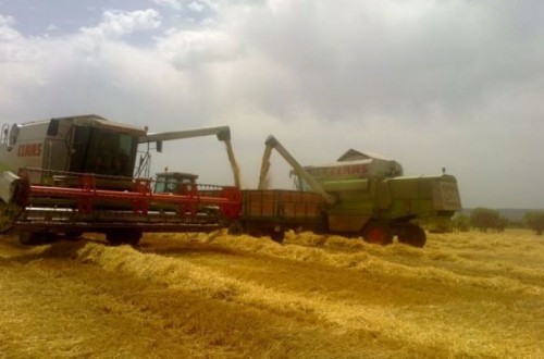 El COPA-Cogeca prevé estabilidad y 298 Mt de cereales en la UE en la campaña 2017/18