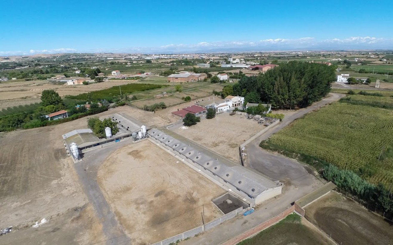 Castilla-La Mancha prepara cambios en la normativa que afecta a las granjas porcinas