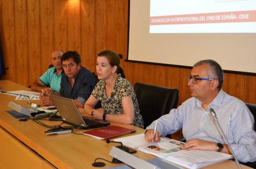 Cooperativas prevé una cosecha de 21,5 Mhl en Castilla-La Mancha y un mercado ágil y sostenido