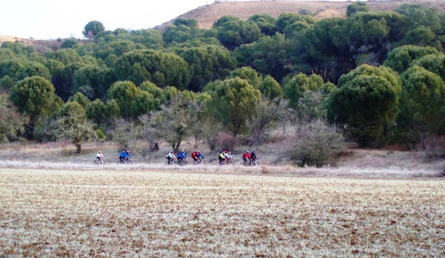 Varias asociaciones denuncian que el bosque zamorano de Montelarreina se encuentra amenazado