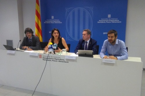 Menos manzanas y algo más de pera en Cataluña durante la nueva campaña