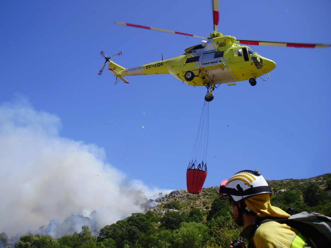 ASAJA Andalucía insta a la Junta a desbloquear las ayudas forestales