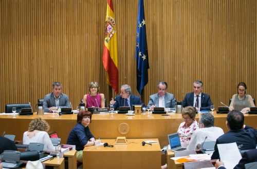 Tejerina anuncia en el Congreso que revisará este año los planes especiales de gestión de sequía