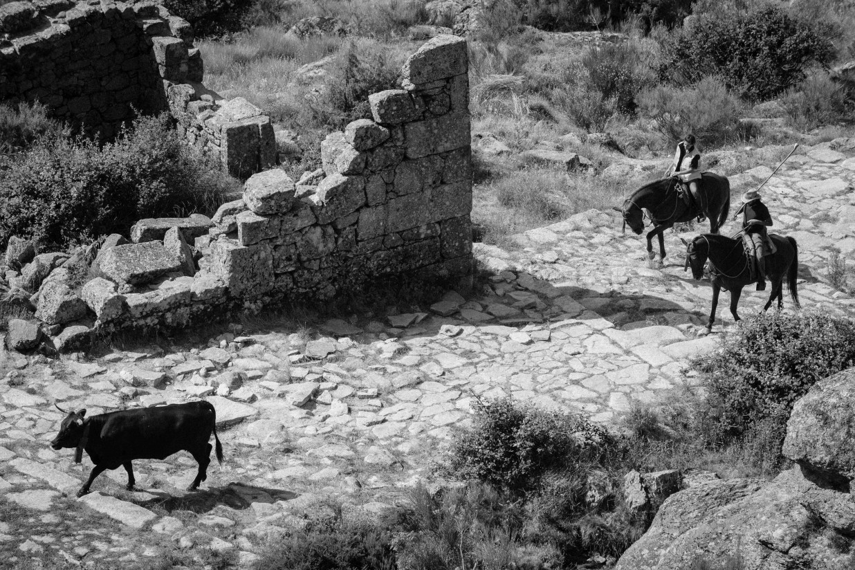 Las instantáneas ganadoras del 9º Concurso Fotográfico reflejan el Patrimonio Cultural de la Trashumancia