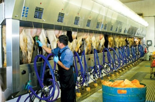 Ya son menos de 15.000 los ganaderos de vacuno con entregas de leche