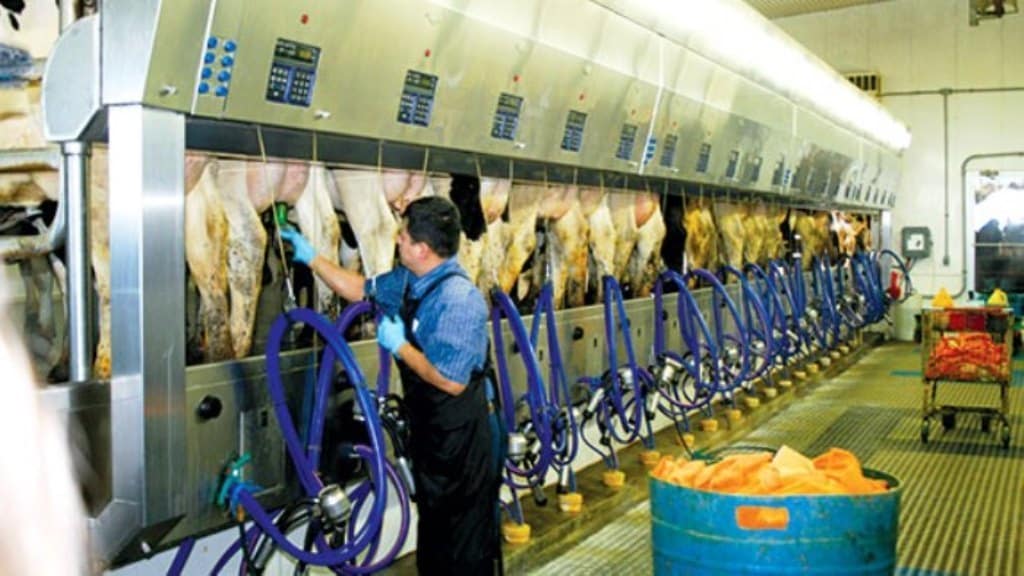 Ya son menos de 15.000 los ganaderos de vacuno con entregas de leche
