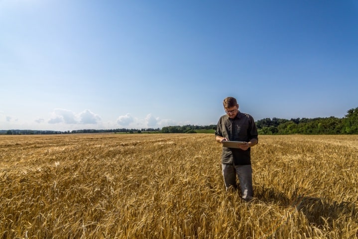 MyYara, la nueva plataforma digital que integra todas las herramientas de agricultura de precisión de Yara