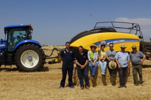 New Holland BigBaler 1290 Plus, empacando en condiciones de extrema sequía