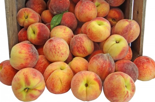 Ya se pueden notificar las nuevas retiradas de fruta dulce, 20.000 t más de melocotón y nectarinas