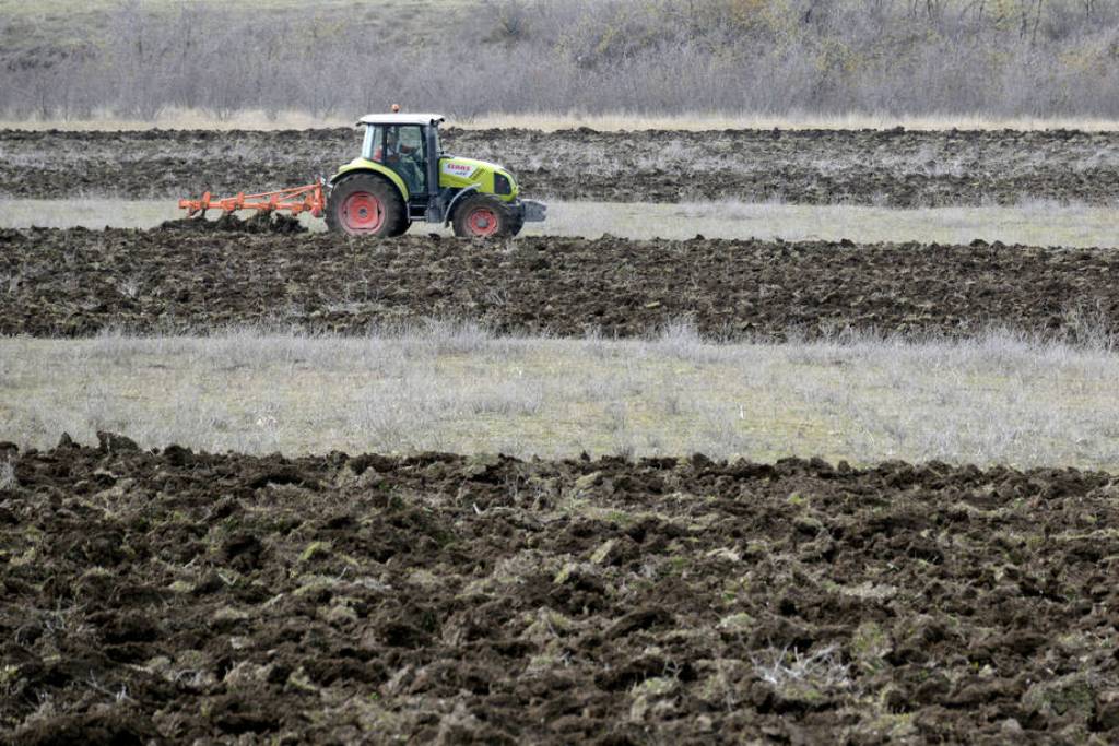 Los cereales lastraron la evolución del índice de precios de alimentos básicos de la FAO en agosto