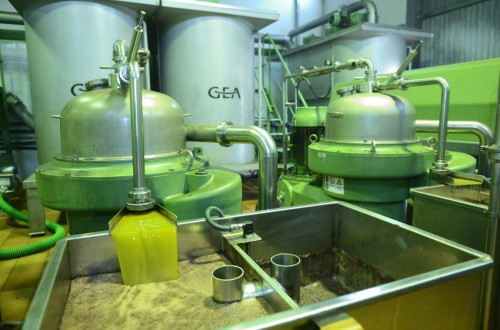 La campaña 2016/17 podría cerrar en la UE con solo 307.300 t de aceite de oliva a 30 de septiembre