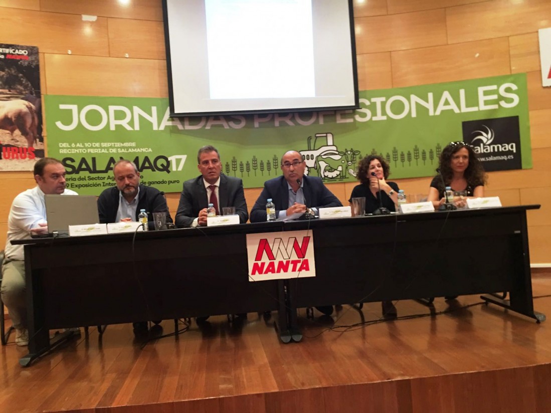 Participación de Zoetis en las Jornadas Profesionales de Vacuno de Carne en Salamaq