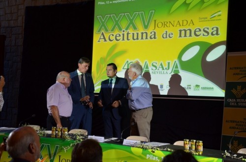 ASAJA Sevilla rebaja a 529.000 t la cosecha nacional de aceituna de mesa