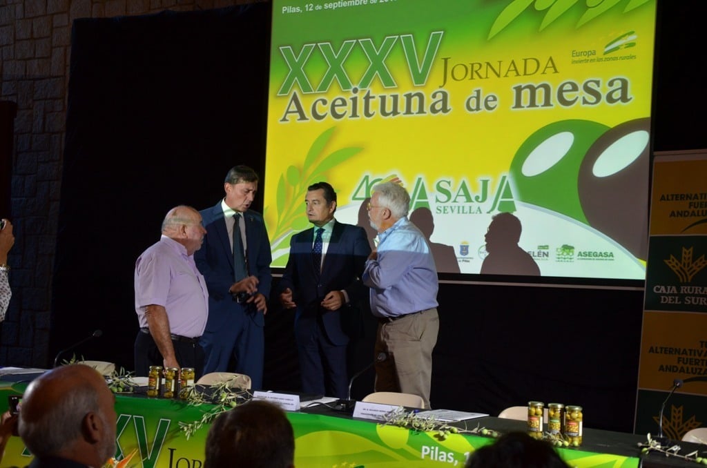ASAJA Sevilla rebaja a 529.000 t la cosecha nacional de aceituna de mesa