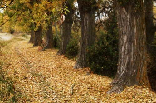 Las lluvias se harán esperar hasta noviembre