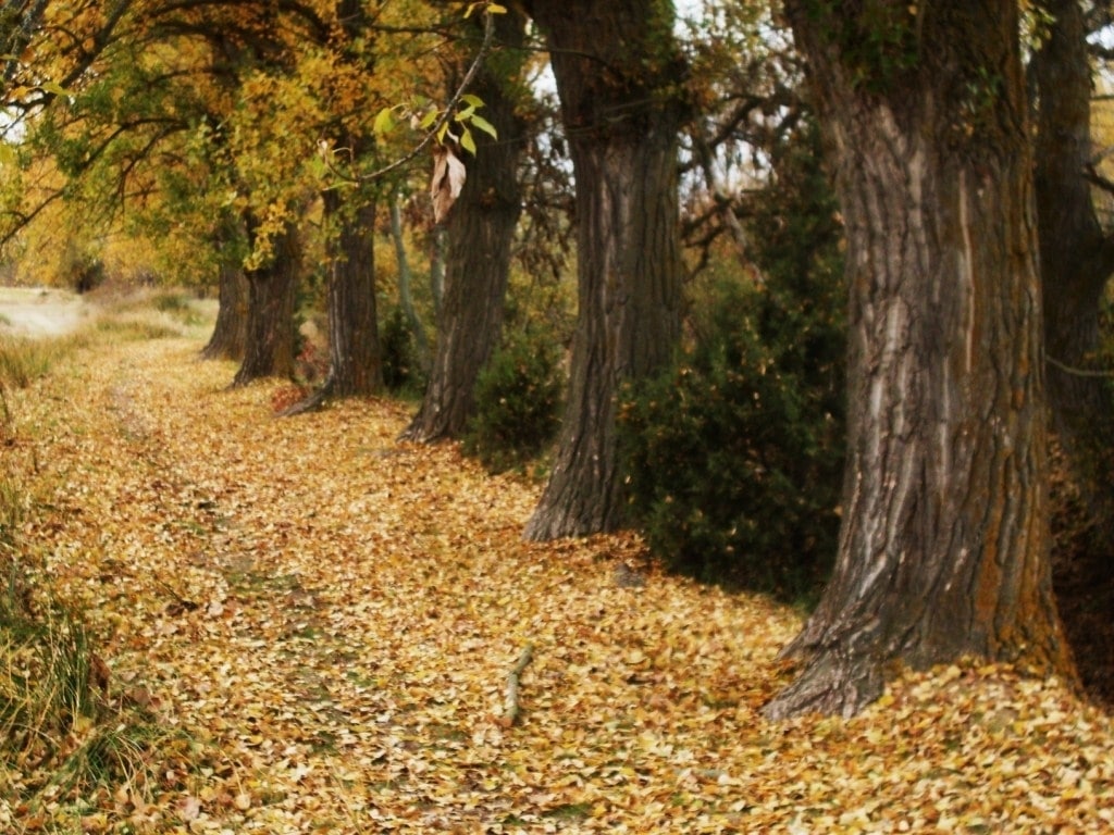 Las lluvias se harán esperar hasta noviembre