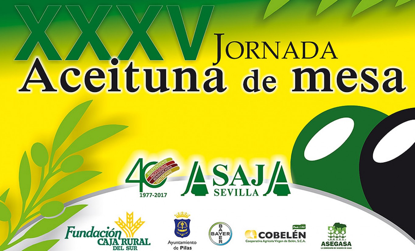ASAJA-Sevilla celebrará en Pilas su XXXV Jornada de Aceituna de Mesa