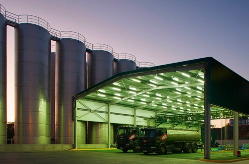 Las exportaciones de aceite de oliva se ralentizaron apreciablemente en agosto