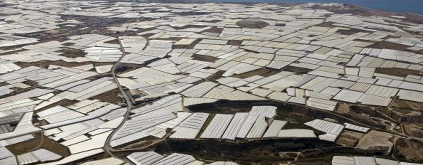 Coexphal analizará los principales retos de la horticultura de invernadero