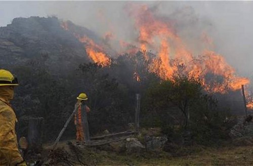 Por un plan integral para combatir los incendios forestales