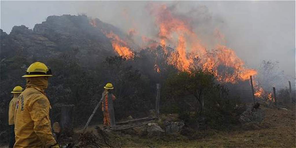 Por un plan integral para combatir los incendios forestales