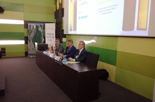 Cooperativas prevé sobre 1,1 Mt de producción nacional de aceite de oliva en la actual campaña