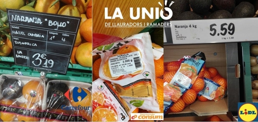 Naranjas sudafricanas en los lineales de los supermercados  en plena campaña citrícola española