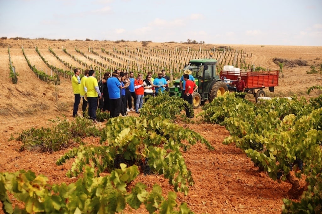 El paro agrario descendió casi un 3% y en 4.838 desempleados en septiembre