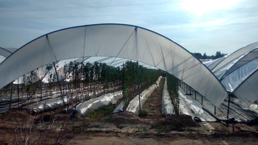 Cicloagro aumenta el número de puntos de acopio y recogida de plásticos agrícolas en Almería