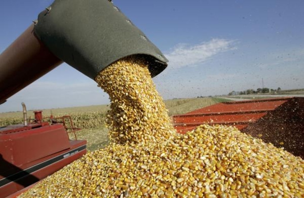 La Comisión Europea prevé que la producción de cereales de la UE se recupe a corto plazo