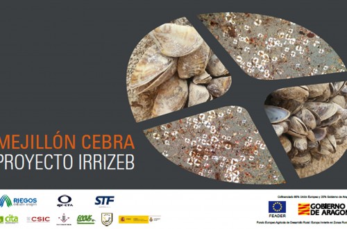 Presentación de resultados del proyecto para mitigar el efecto de la plaga de mejillón cebra en regadío