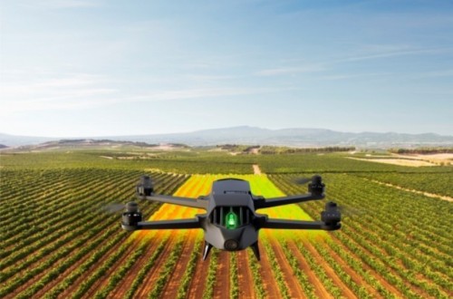 La UE financia la investigación digital y la innovación agrícola para afrontar los retos sociales